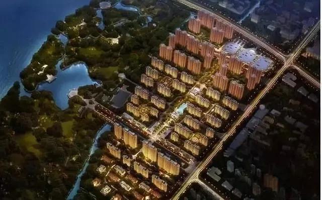 产业园作为一种政府搭台、企业唱戏的组织形式，在各地区的管理模式和运营模式上具有很大